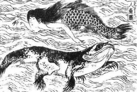 人魚島秘密 (圖片來源:WIKI)
