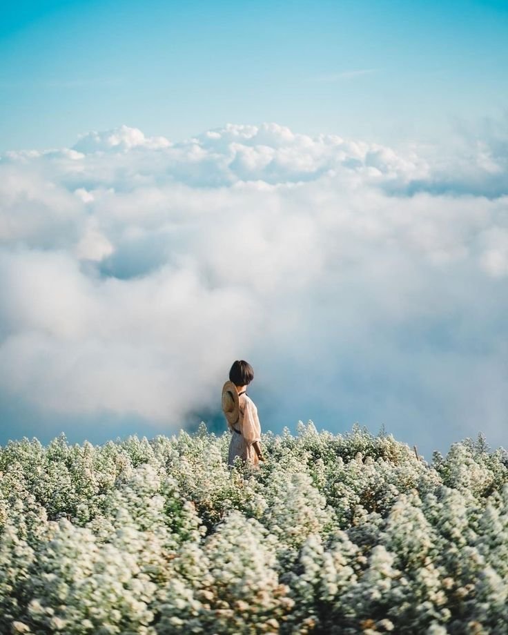 清邁閨密遊 (圖片來源:pinterest)