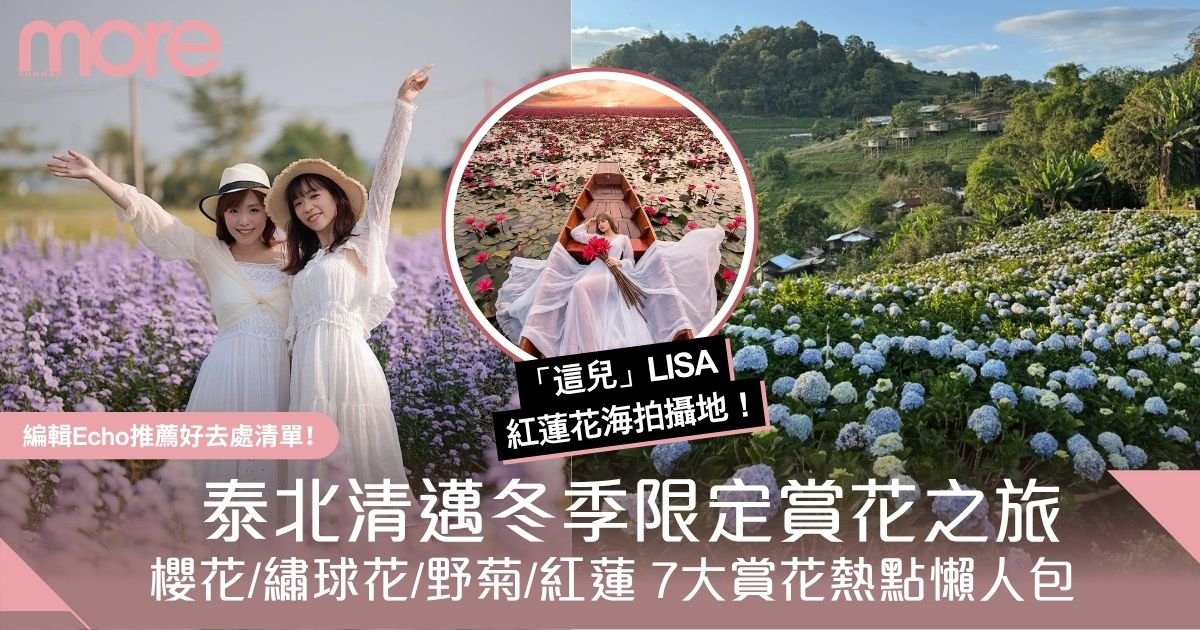清邁閨密遊 | 泰北冬季7大限定賞花之旅：打卡夢幻櫻花繡球花海！